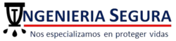 Ingeniería segura